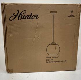 19753 Hunter Xidane 1-light Alturas Gold Crystal Pendant Light With Clear Glass Shades