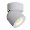 Hysl52 Aisilan Lighting Ceiling Spotlight Rotating Lamp Led Warm White