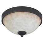 Ifm375a11ra Canarm Ant Ceiling Fixture 009326513553