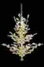 Irises13 J P Palace Light 27 Golden Shade Crystal Chandelier Fixture Gold