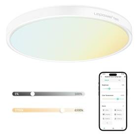 Ce-01 Lepower-tec Flush Mount Ceiling Light 3200lm Smart Led Lights Fixture Compatibl