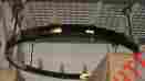 Lf5002 Project Light Custom Fixture Ceiling Lighting