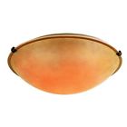 58703 Light Globe Ceiling Rob Mount Bronze Lighting 2 Rubbed Oil Trans