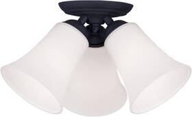6462-04 Lighting Ridgedale 3 Light Ceiling Mount Black