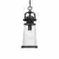 Lodge21-in Sdn1908ib Quoizel Rustic Imperial Bronze Outdoor Pendant Light Decor Ceiling Fixtures