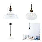 Lsc171 Light Society Classon Edison Pendant Clear Glass Shade 638455928565