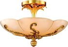 M-19442 Euroluxhome Ceiling Fixture David 616524084671