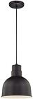 Rdbc10-sb Millennium 200 Watts Glass Material One Light Pendant Black