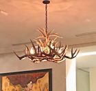 Mus230 Unbranded Rustic Elk Aspen