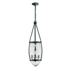 5954-93 Natural Elegance Hanging Pendant Collection Crystal 3-light Iron