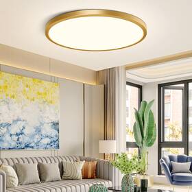 Nel-js-nw-12-us Neltbesin 12inch Gold Flush Mount Ceiling Light Fixture 24w240w Equivalent 3200lm 4