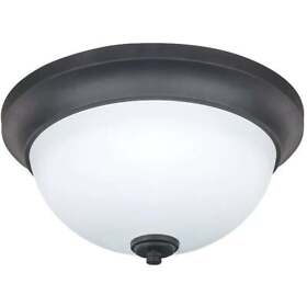 Ifm256a13orb New Yorker 2blb Orb Ceiling Fixture Pack Of 6 Home Impressions
