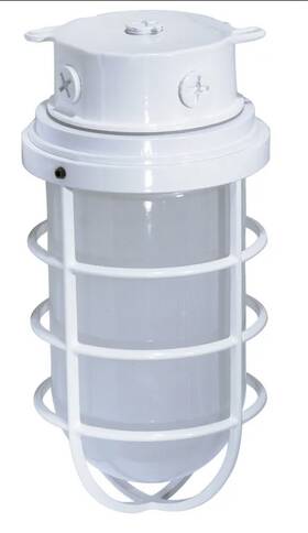 76-618 Nuvo Lighting Sf76/618 - 1-light 11 Inch Industrial Style Surface Mount With Frosted Glass