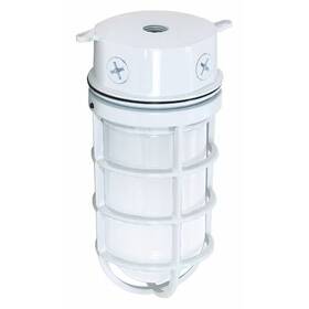 Sf76-616 Nuvo 1-light - 10 Inch Industrial Style Surface Mount With Frosted
