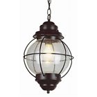 69903 Outdoor Bk Globe Light Lighting Onion Trans Black Hanger 1