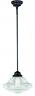 P0242 Vaxcel Lighting Huntley Pendant Light Oil Rubbed Bronze 884656741582
