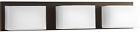P2144-2030k9 Progress Lighting 3 Light 716987266055