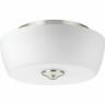 P350061-009 Progress Lighting Leap Light Semi Flush Bowl Nickel 785247207756