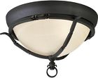 P3837-80 Progress Lighting Ceiling Fixture 643504035774