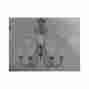 P4142-04 Progress Nib Platinum Mist 9-light Chandelier Lighting Fixture 785247120208