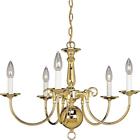 P4346-10 Progress Lighting Americana Chandeliers