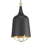 P500098-031 P500098 Progress Lighting Era Single Light Wide Pendant 785247217106