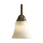P5194-86wb Pendant Burnished Chestnut Fixture Progress Light 1-light Mini Nib