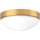Pg.9435010510930 Progress Lighting P350105-109-30 Elevate 785247221110