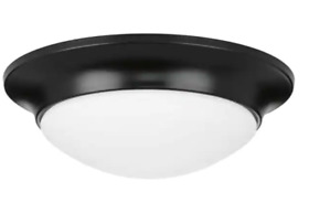 P350146-031 Progress Lighting 11-1/2 In. 1-light Etched Glass Flush Mount New