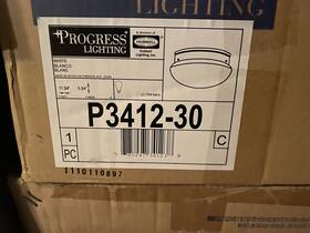 P3412-30 Progress Lighting 785247341238 Fixture Progess Without Bulb
