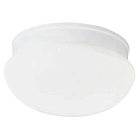 P3410-30 Progress Lighting Fitter Close-to-ceiling 9-1/2-inch Diameter