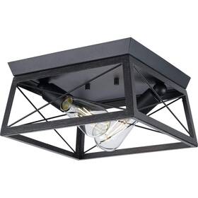 P350039-031 Progress Lighting P350039031 Briarwood Collection Farmhouse Flush Mount Ceiling Light 2light Textu