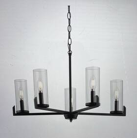 P400426-31m Progress Lighting Pellum Collection Chandelier