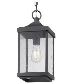 P550077-031 Progress Lighting Park Court Outdoor Pendant Light With Clear Seeded Glass-used