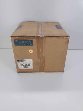 P3458-10 Progress Lightning Polished Brass Light Fixture
