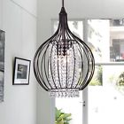 Rl8055 Kate Crystal Chandelier Sparkling Effervescent Elegance