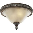 P3600-55 Seeded Crackle Antique Thomasville Etched Tuscany Lighting Glass Read
