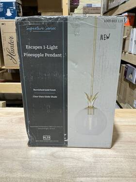 24274-000 Signature Series Alsy Escapes 60-watt 1-light Brushed Gold Shaded Pendant Light