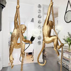 Sno839182 Unbranded Modern Resin Monkey Hemp Rope Pendant Lights Ceiling Lamp