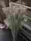 Tlrw48wh Tlrw48 Juno Track Lighting Trac 12 Lot Of 45