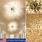 Tsy500013 Unbranded Modern Dandelion Led Chandelier Fireworks Pendant Lamp Ceiling Lights