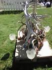 Unbranded Deer Elk Combo Cascade 30 Antler Mounted Solid Burl Wood 3 Lights Local Made 752025860281