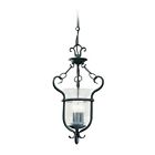 5101-07 Weathered Lighting - Manor House Sea Hall Gull Three-light Foyer Iron