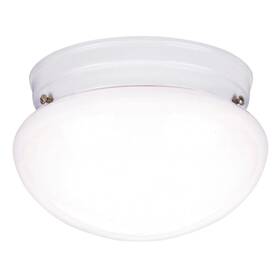 Westinghouse Lighting 024034666995 Flush-mount Interior Ceiling Fixture