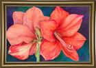 Wnsp1126 43343161 Winston Porter Amaryllis Blooms Print