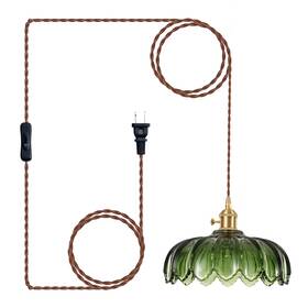 6202203 Xzhgcee Plug In Pendant Light Fixtures Hanging Fixture Green Glass Lig