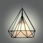 Y30-1 Lssd Modern Scandinavian Minimalist Bird Cage Pendant Lamps 712243348077
