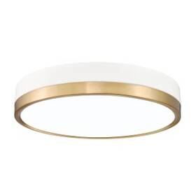 Z-lite 685659190205 1006f16-mw-mgld-led - Ceiling Fixtures Indoor Lighting