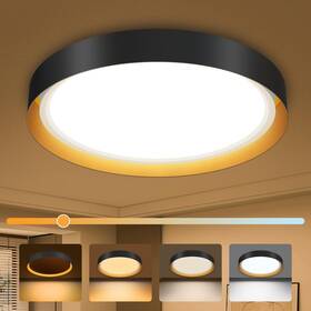 Cl63-bk Zemty 13inch Led Ceiling Light With Night 24w 1800k/2700k/4000k/6500k