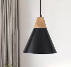 Ftzjd00072-1-b Zjvaive 1-light Black Hanging Pendant Light